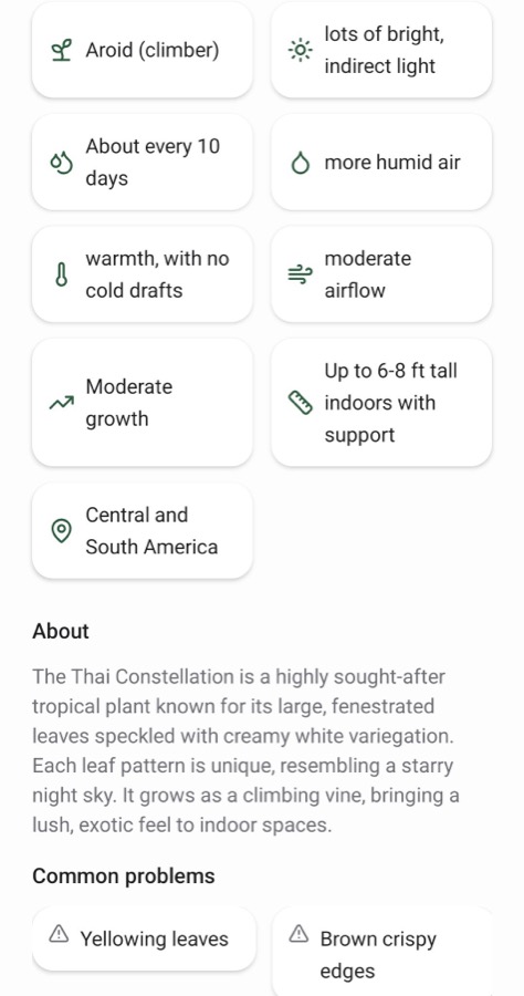 The GrowSpot app showing a monstera's care requirements: bright indirect light, watering about every ten days, more humid air, warmth with no cold drafts, moderate airflow