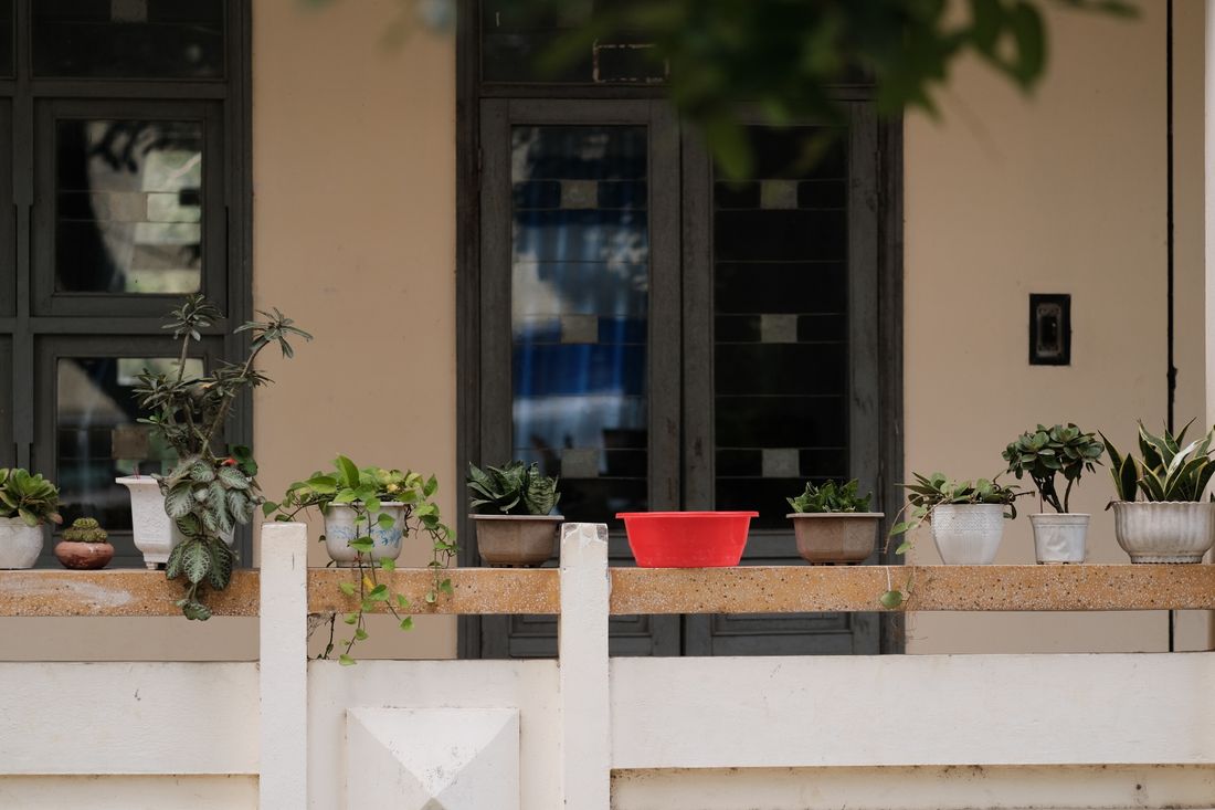 A row of potted plants standing along a balcony parapet under a deep roof overhang, with the flat's windows and door behind them