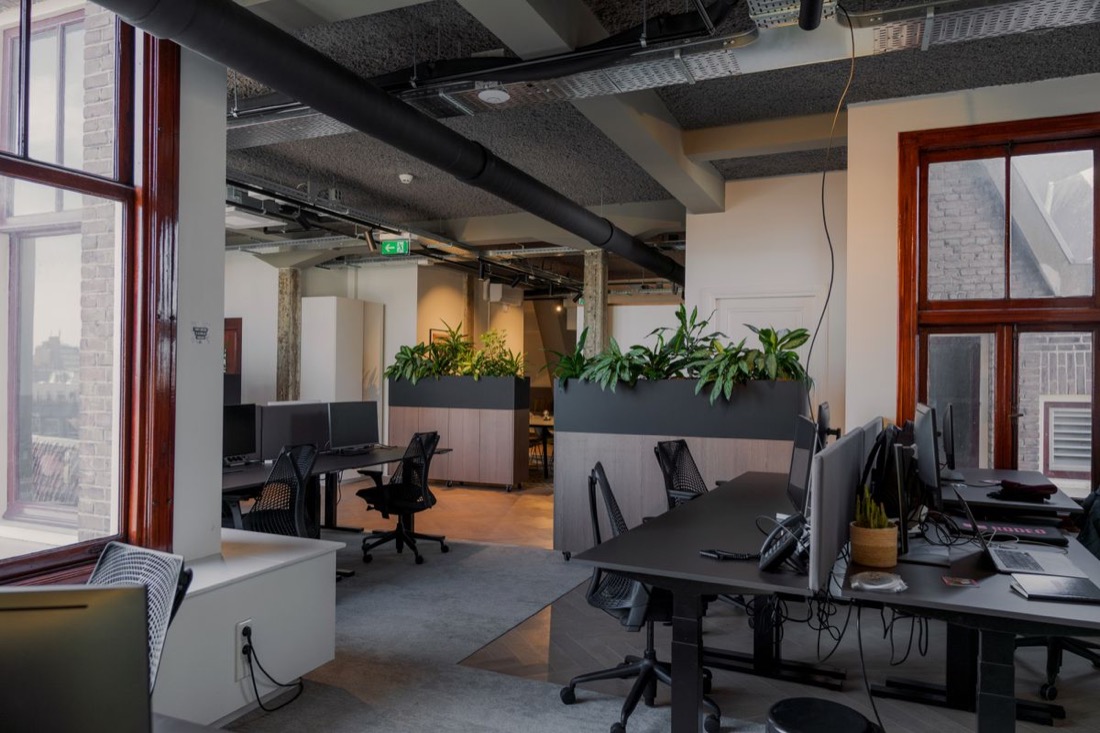 An open-plan office with tall windows down one side and rows of desks running back into the interior, planters dividing them