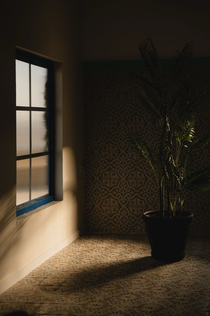 A window on the left throwing a wedge of daylight across a tiled floor, with a potted palm standing several feet away in the shade the light does not reach