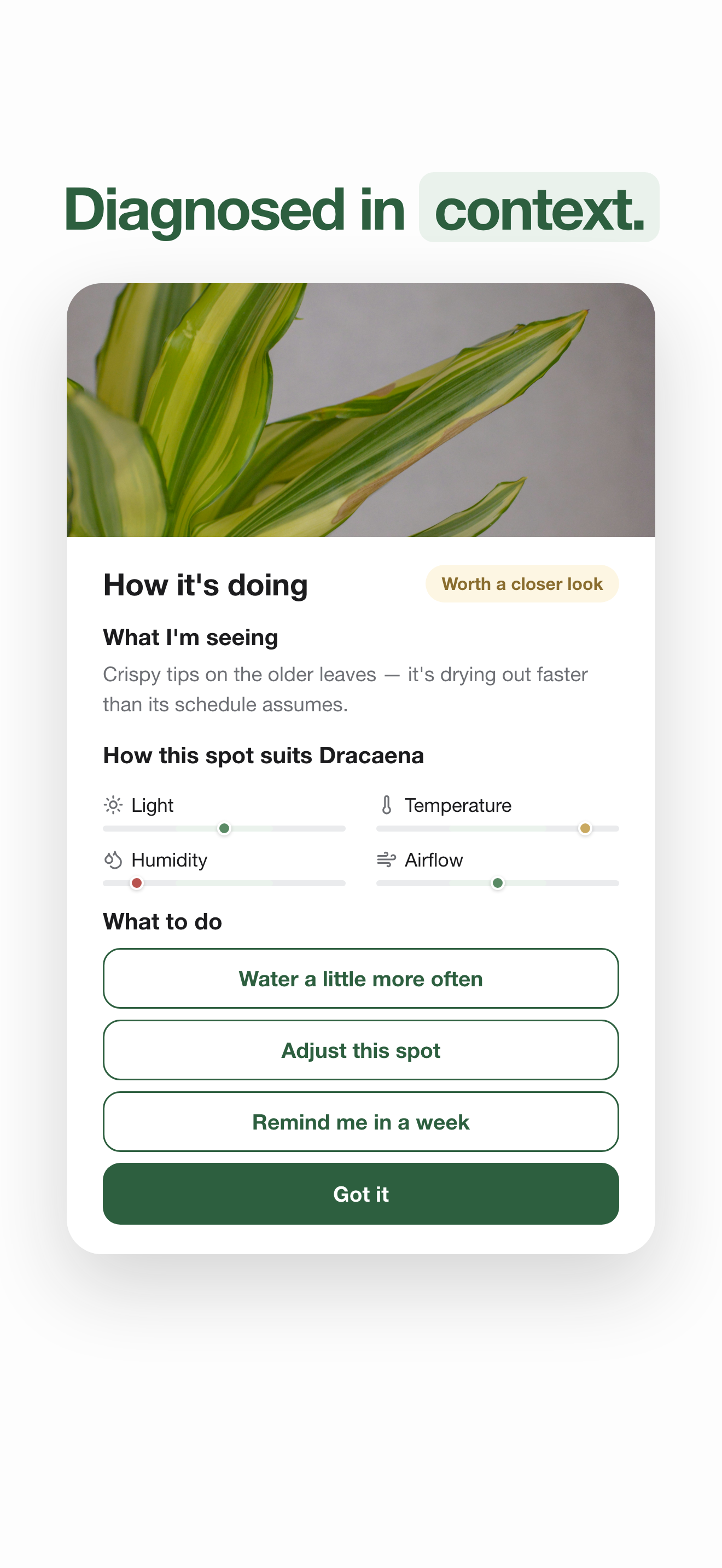 Screenshot: diagnosis in context