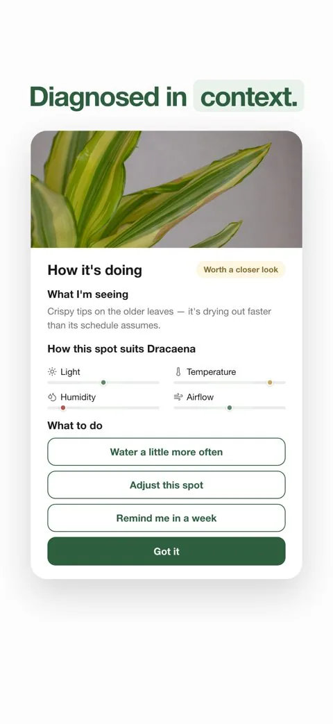 GrowSpot screenshot: plant diagnosis in the context of the spot it lives in