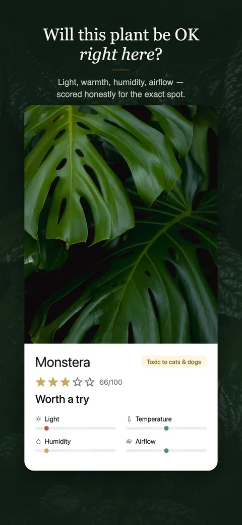 A monstera scored 66 out of 100 for one spot and called Worth a try, with light, temperature, humidity and airflow each marked on its own scale