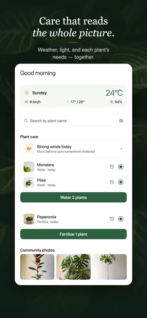 The GrowSpot home screen: the day&rsquo;s weather, a strong-winds notice, and the plants due for water and feeding today