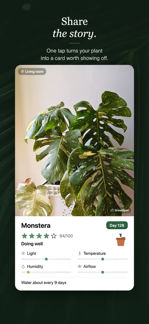 A GrowSpot share card for a monstera on day 128, scored 84 out of 100 and doing well, with light, temperature, humidity and airflow each marked on its own scale