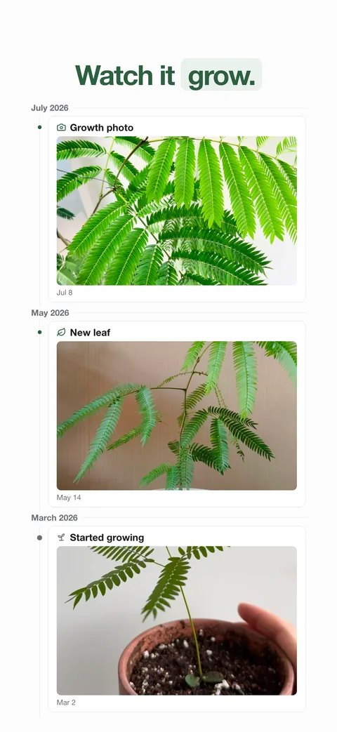 Watch it grow: a timeline of growth photos from first sprout to new leaf