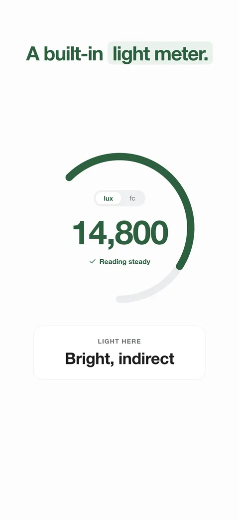 A built-in light meter reading 14,800 lux at the spot, called bright, indirect