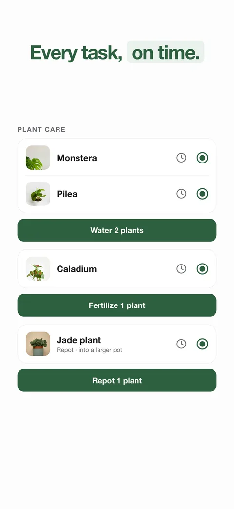 Every task on time: the day’s watering, feeding and repotting gathered into one list